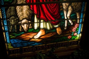 2333882093_51475d0ae0_n