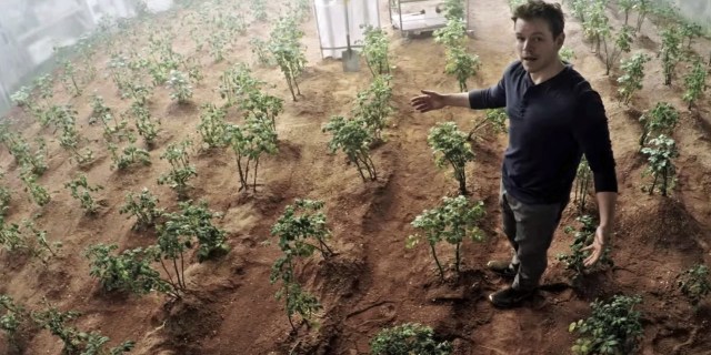 resize
